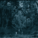 Cohol - "Depressive" Lyrics
